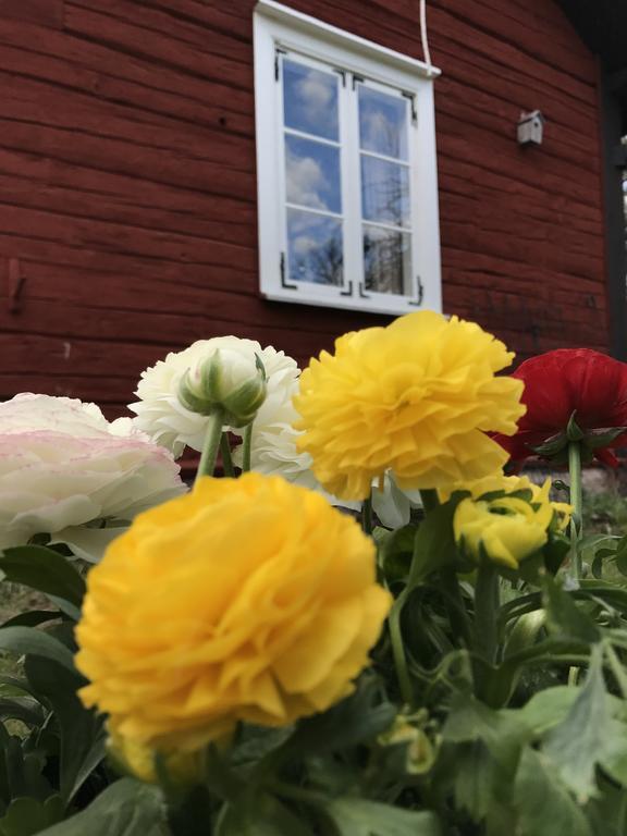 Visingso Pensionat Экстерьер фото